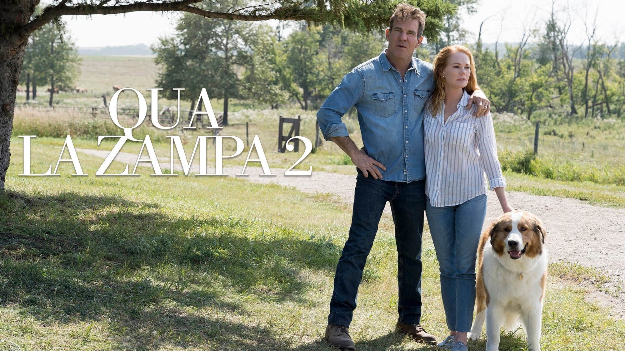 video-section-banner-image