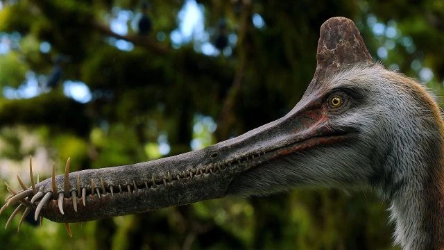 الديناصورات الموسم الأول الحلقة 1