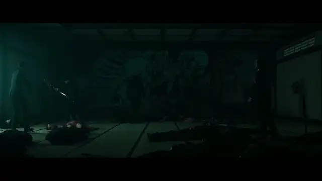 The Shadow Strays organizzazione criminale