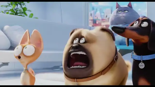 Pets - Vita da animali