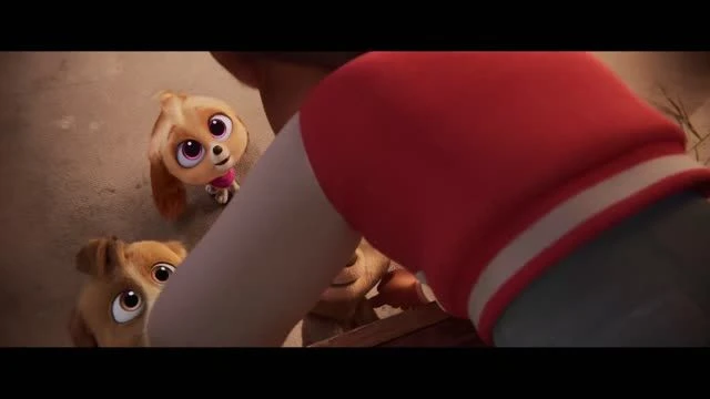 PAW Patrol_ Il super film