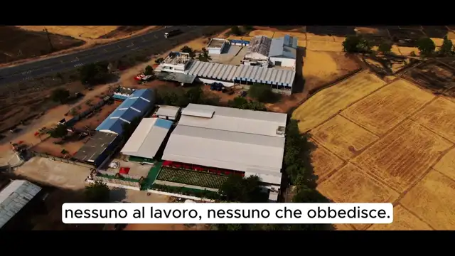 Flavio Belviso – La Rivolta de