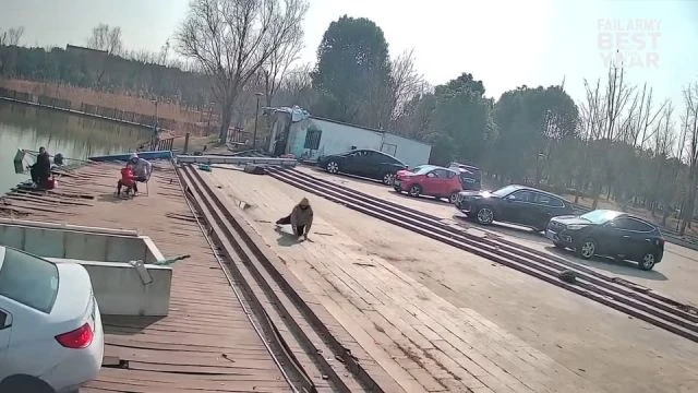 Best Fails of the Year   Try Not to Laugh