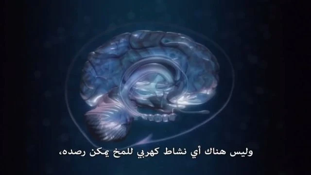 العباقرة يؤمنون بالإسلام والجهال يلحدون ويكثرون الكلام .. التسجيل المفقود منذ 33 عامًا لإسلام العالم آر...
