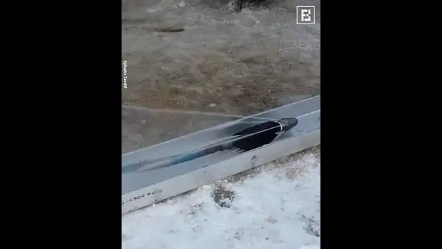 Jetter System For Drain Cleaning