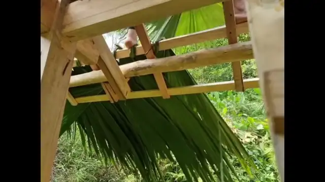 16M views · 124K likes | Girl builds amazing wooden house is wilderness #survival #bushcraft #camping #shelter #building #outdoors #skill | By The squad outdoors