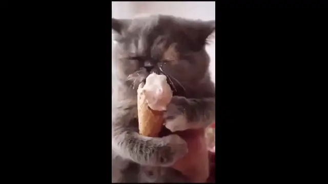 Clip by @otkrovennoe18