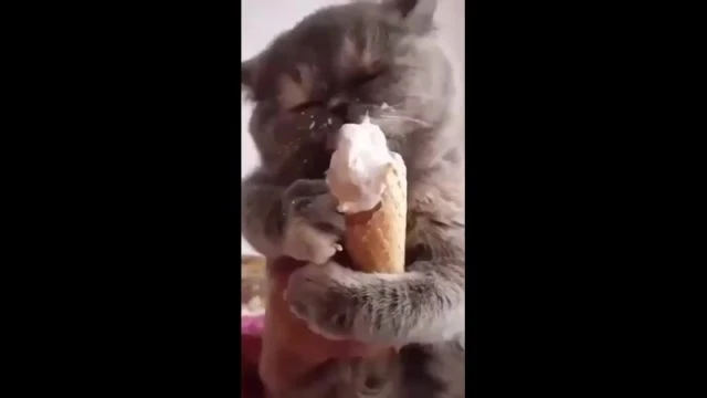 Clip by @otkrovennoe18