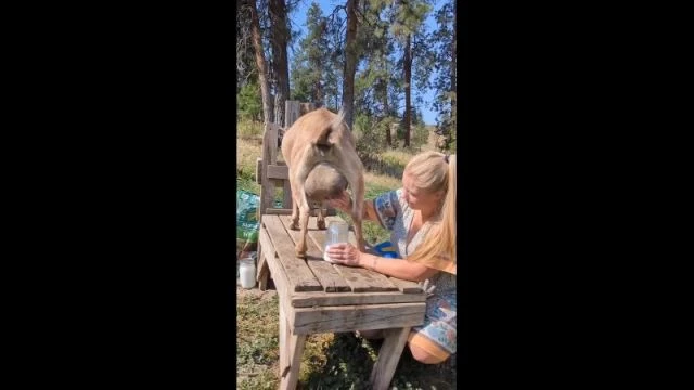 Clip from Про людское