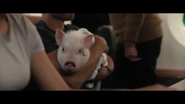 FUBAR S02 E03 Tango e botte