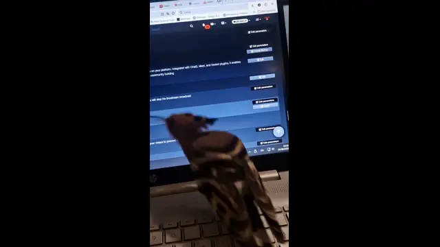 HudHud - الهدهد يلعب في جهازي