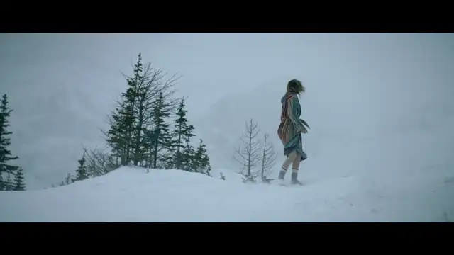 Cold Pursuit - Un uomo tranquillo 2019